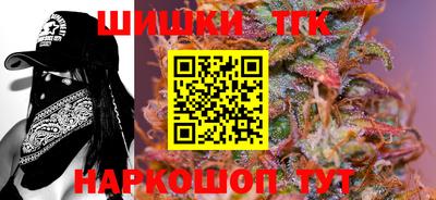 тгк Партизанск